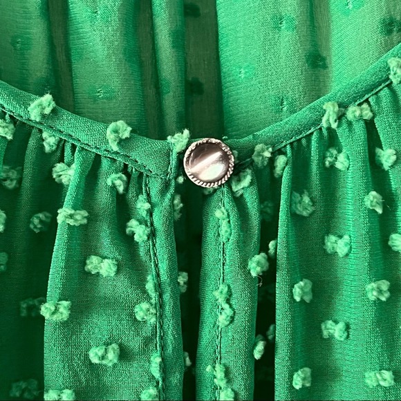 J.  Crew Green Swiss Dot Silk Blend L/S Sheer Blouse sz 2 - Picture 4 of 9